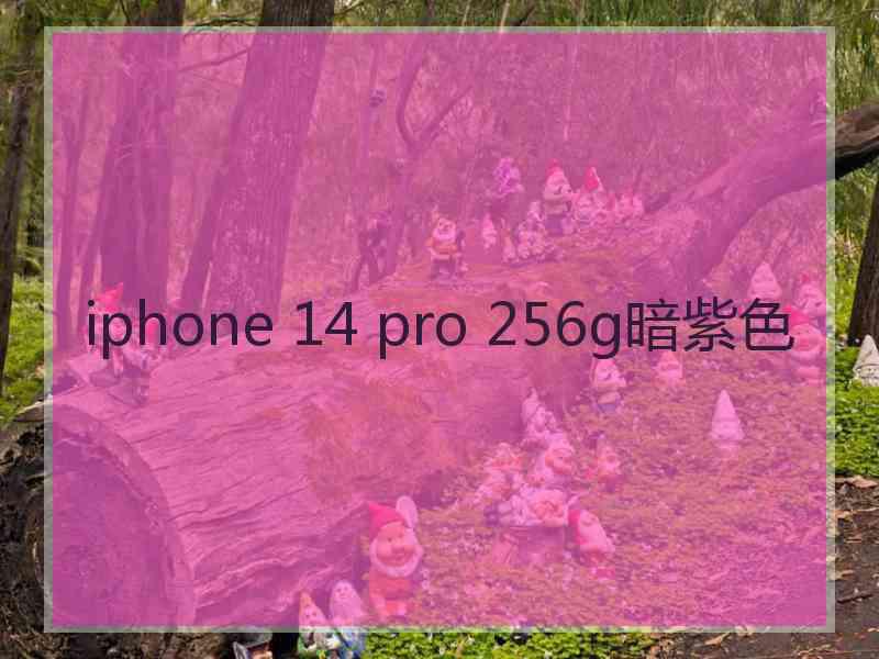 iphone 14 pro 256g暗紫色