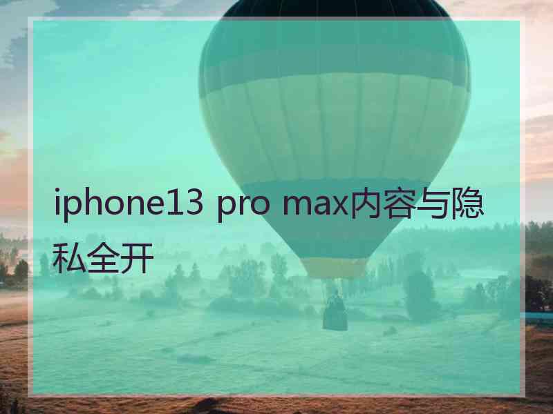 iphone13 pro max内容与隐私全开