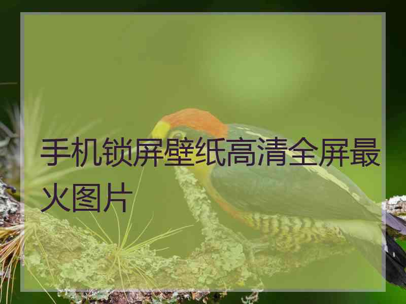 手机锁屏壁纸高清全屏最火图片