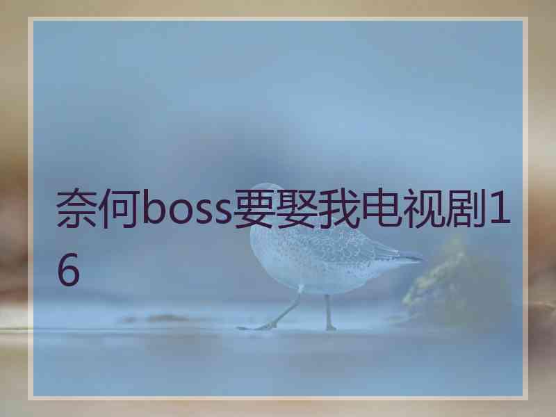 奈何boss要娶我电视剧16