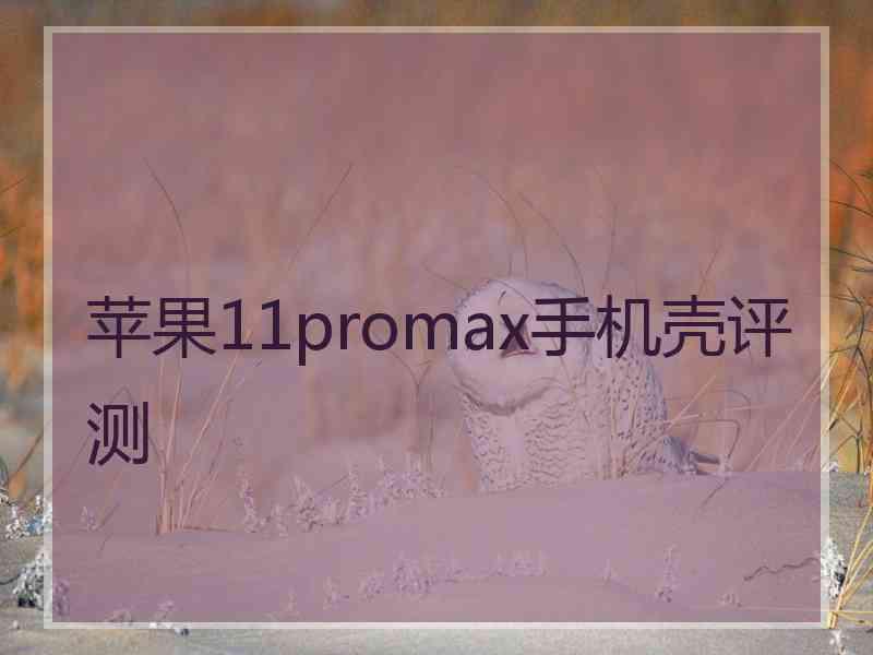 苹果11promax手机壳评测