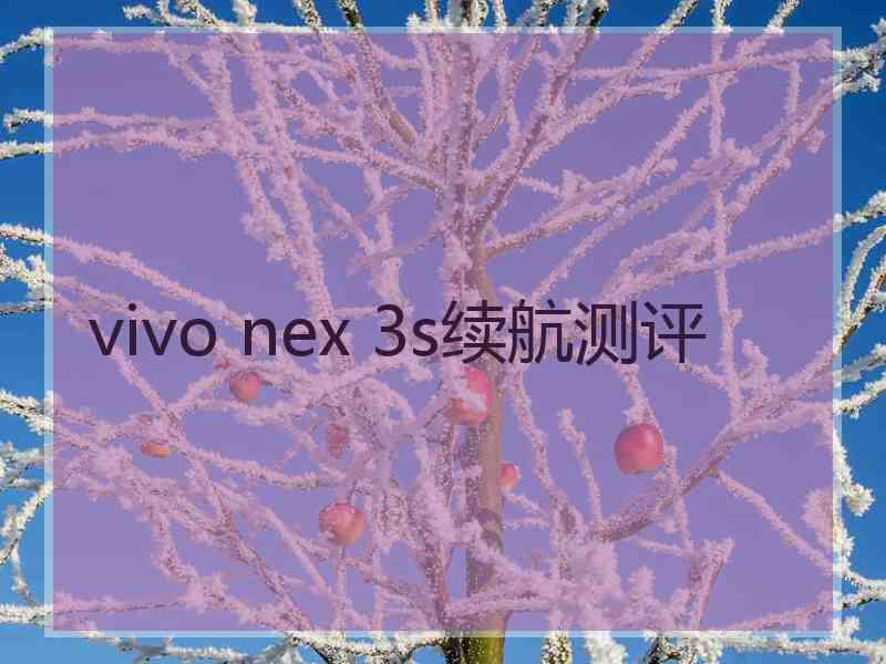 vivo nex 3s续航测评