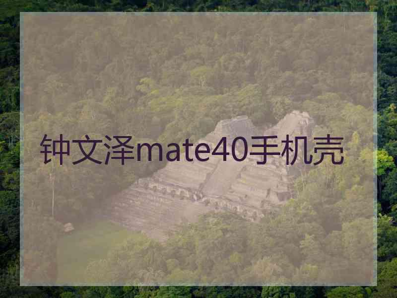 钟文泽mate40手机壳