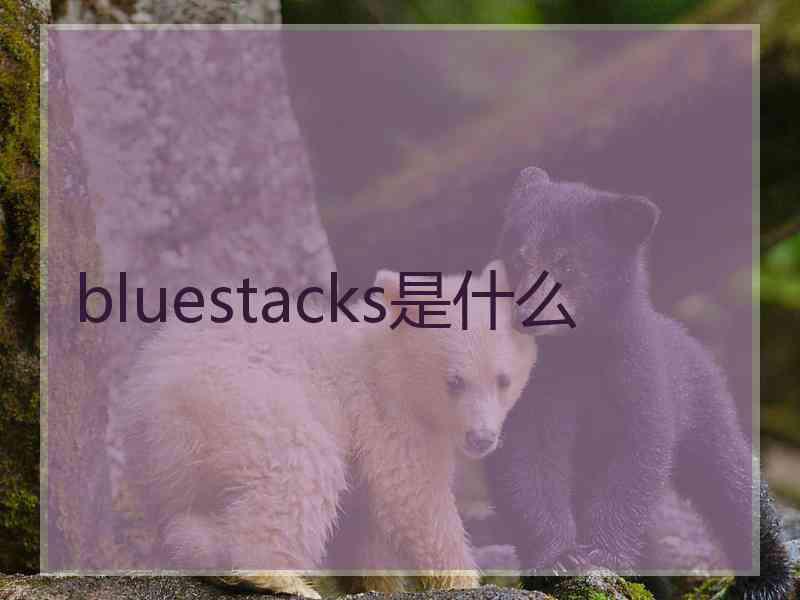 bluestacks是什么