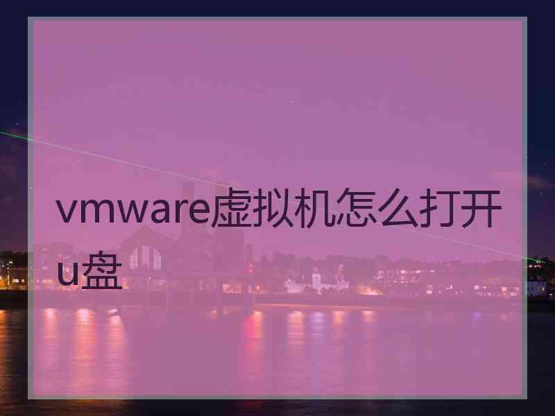 vmware虚拟机怎么打开u盘