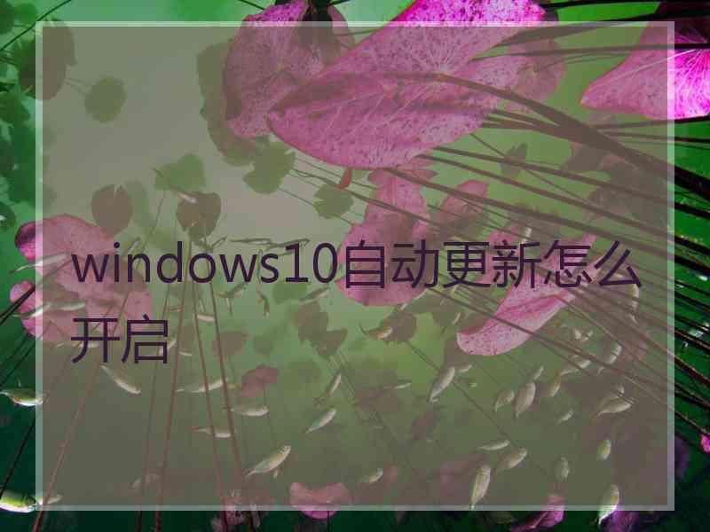 windows10自动更新怎么开启