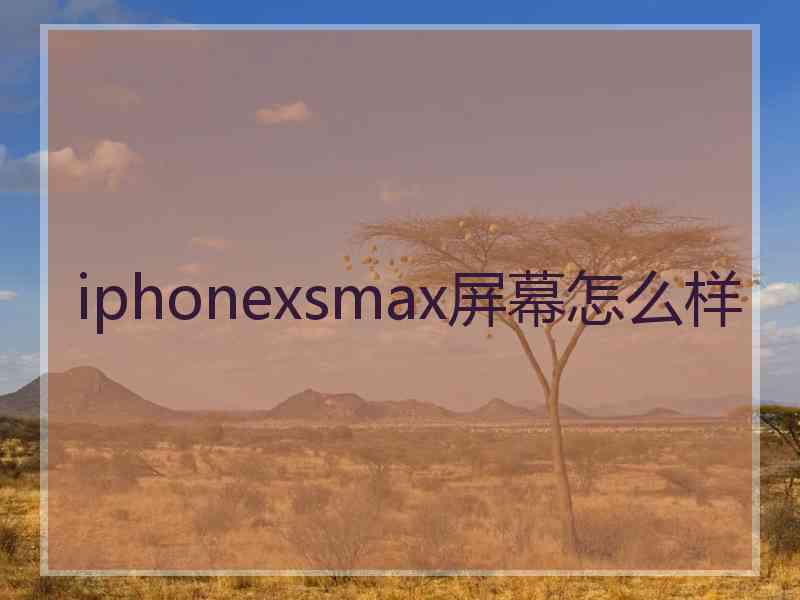 iphonexsmax屏幕怎么样