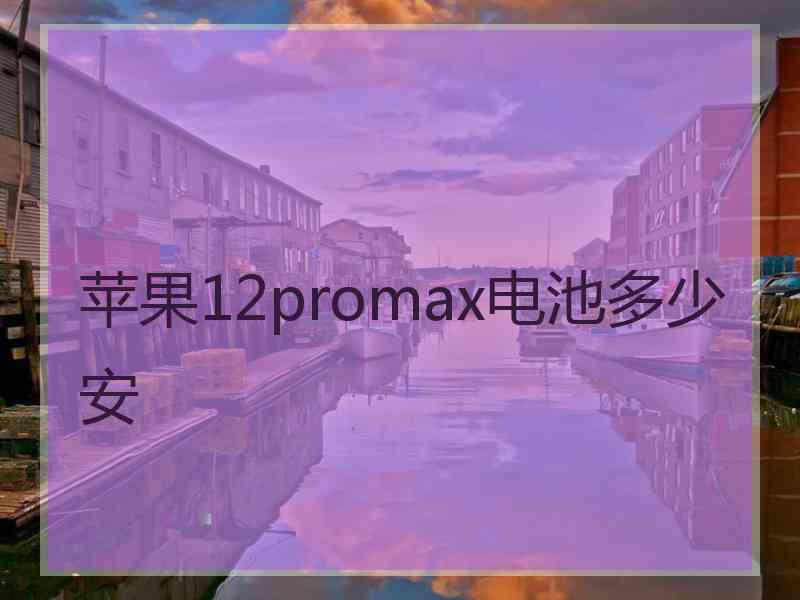 苹果12promax电池多少安