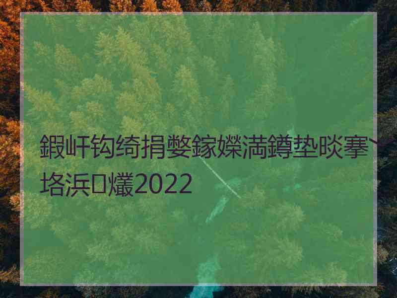 鍜屽钩绮捐嫳鎵嬫満鐏垫晱搴﹀垎浜爜2022