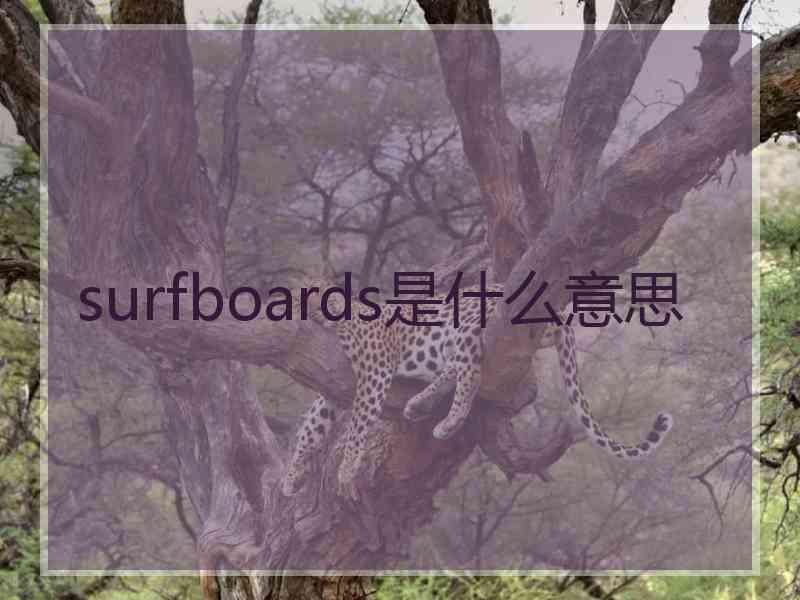 surfboards是什么意思