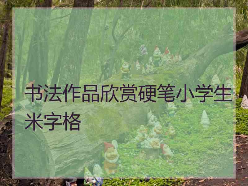 书法作品欣赏硬笔小学生米字格