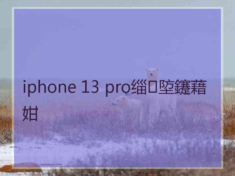 iphone 13 pro缁埅鑳藉姏