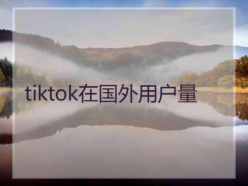 tiktok在国外用户量