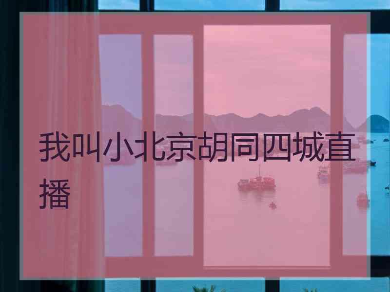 我叫小北京胡同四城直播