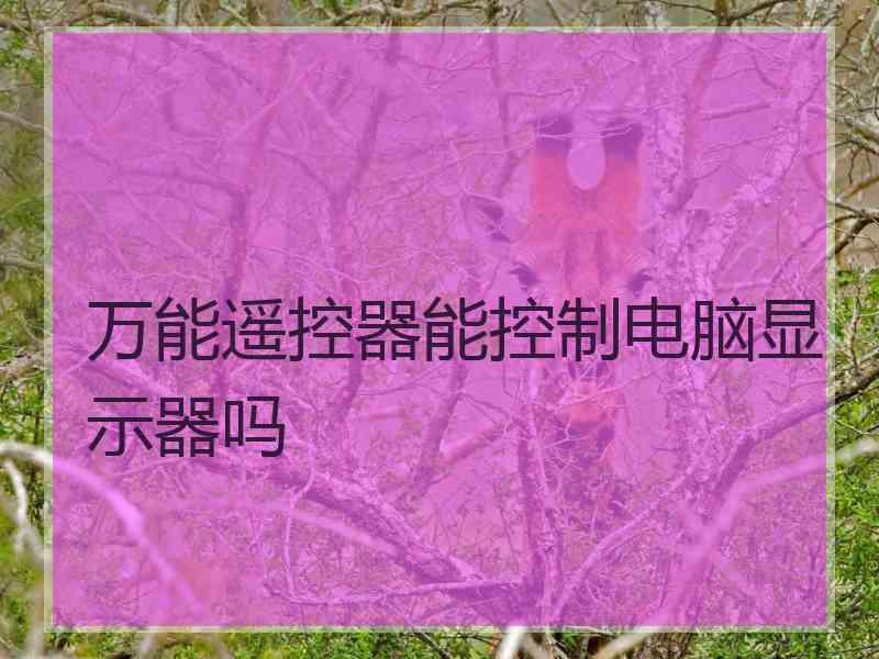 万能遥控器能控制电脑显示器吗