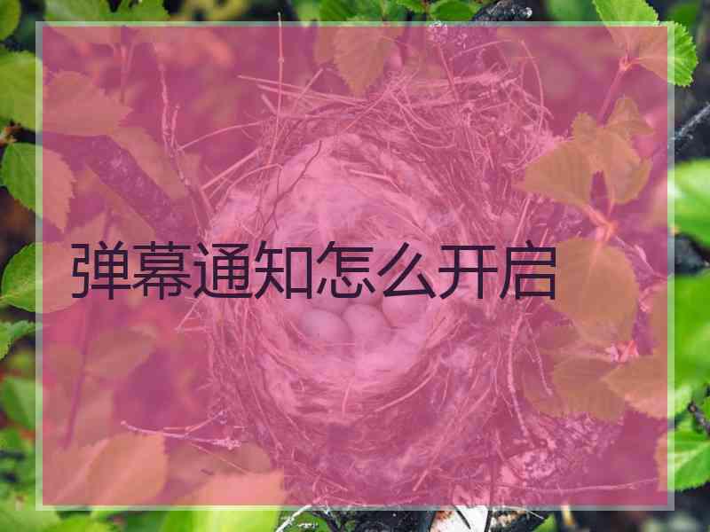 弹幕通知怎么开启