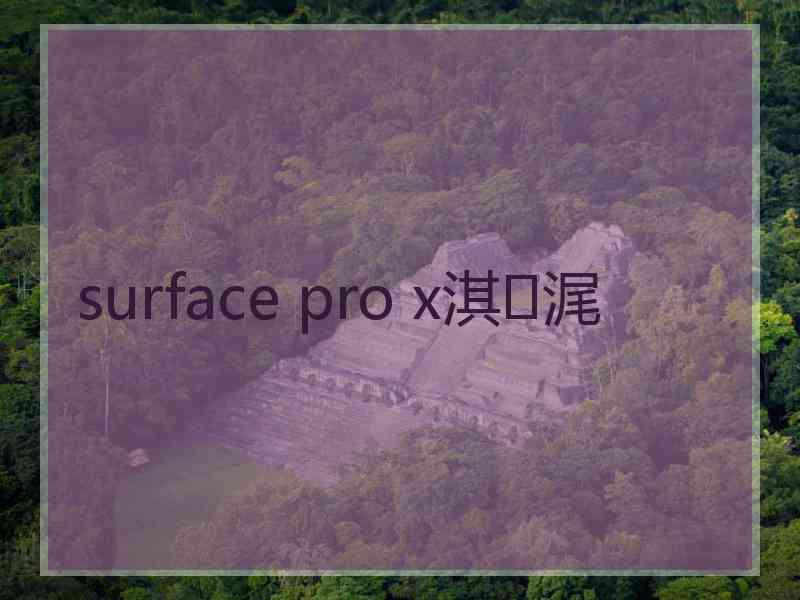 surface pro x淇浘