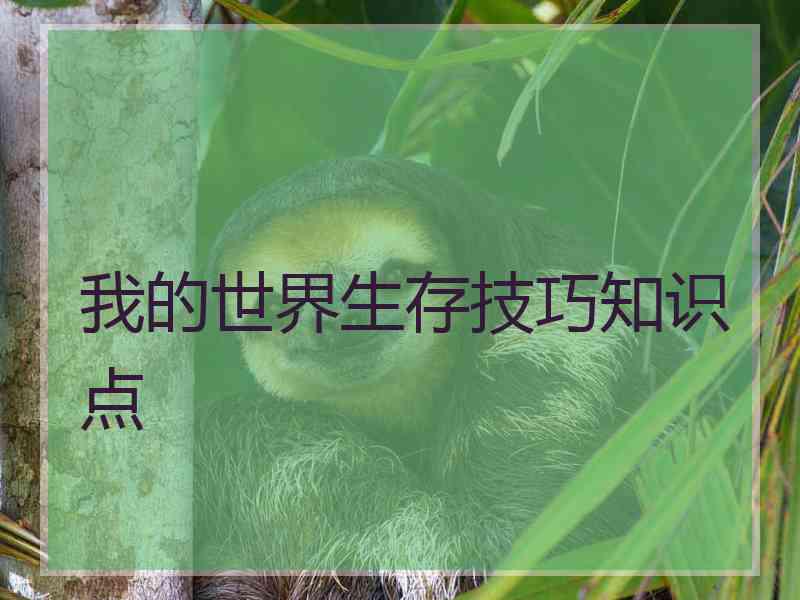 我的世界生存技巧知识点