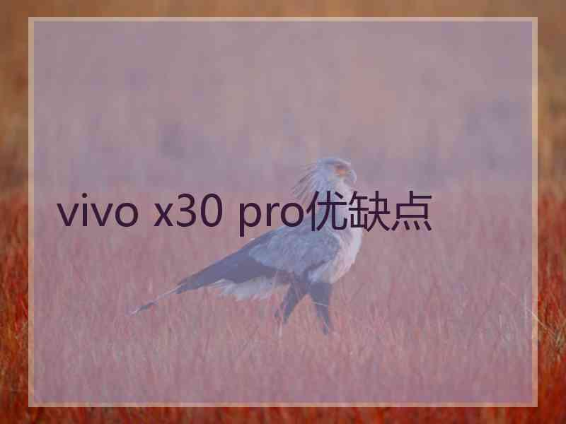 vivo x30 pro优缺点