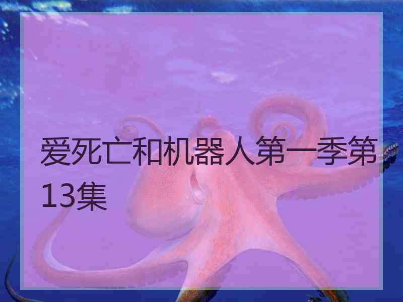 爱死亡和机器人第一季第13集