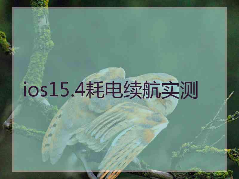 ios15.4耗电续航实测