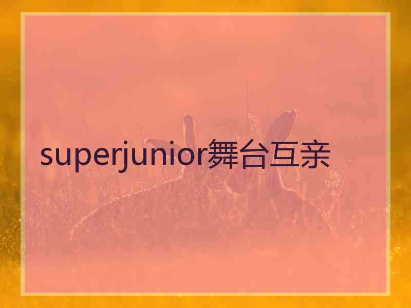 superjunior舞台互亲