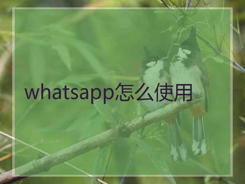 whatsapp怎么使用