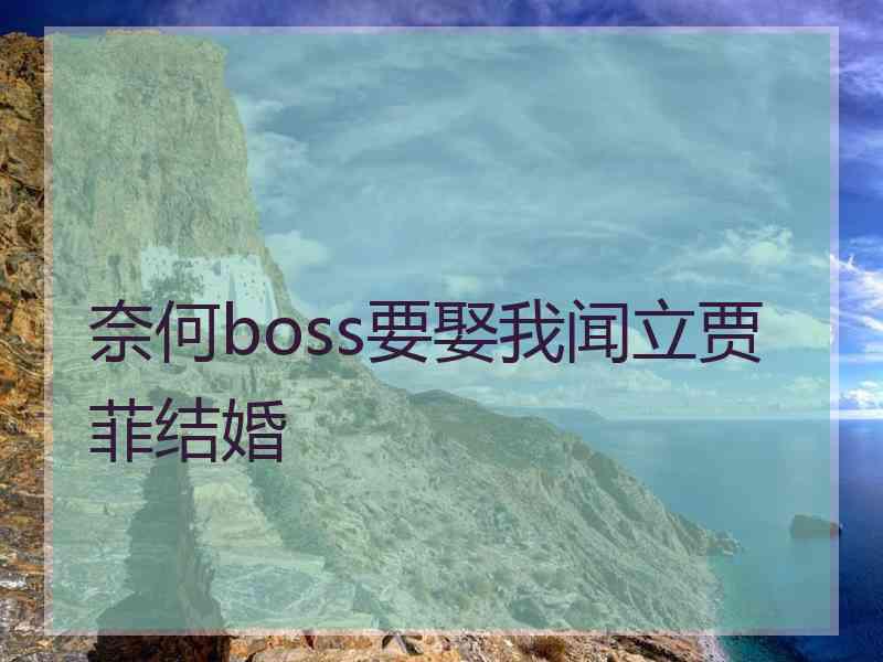 奈何boss要娶我闻立贾菲结婚