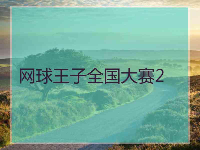 网球王子全国大赛2