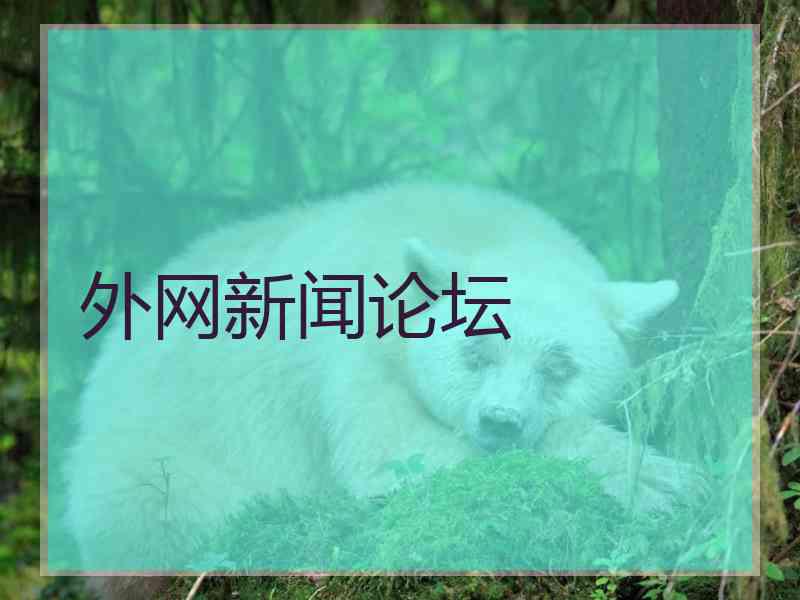 外网新闻论坛