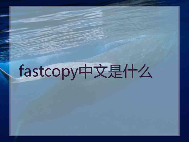 fastcopy中文是什么