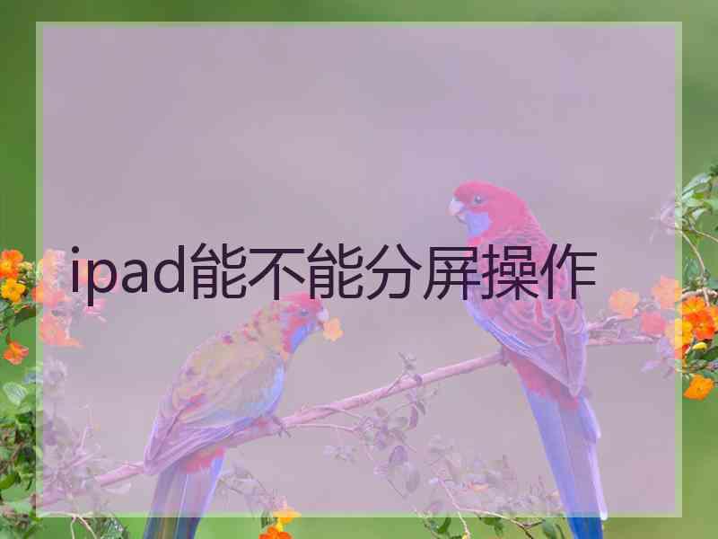 ipad能不能分屏操作