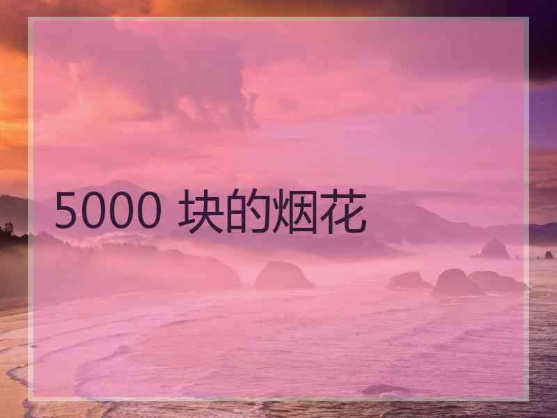 5000 块的烟花