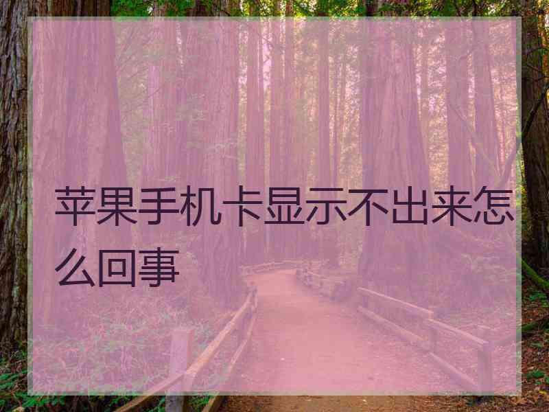 苹果手机卡显示不出来怎么回事