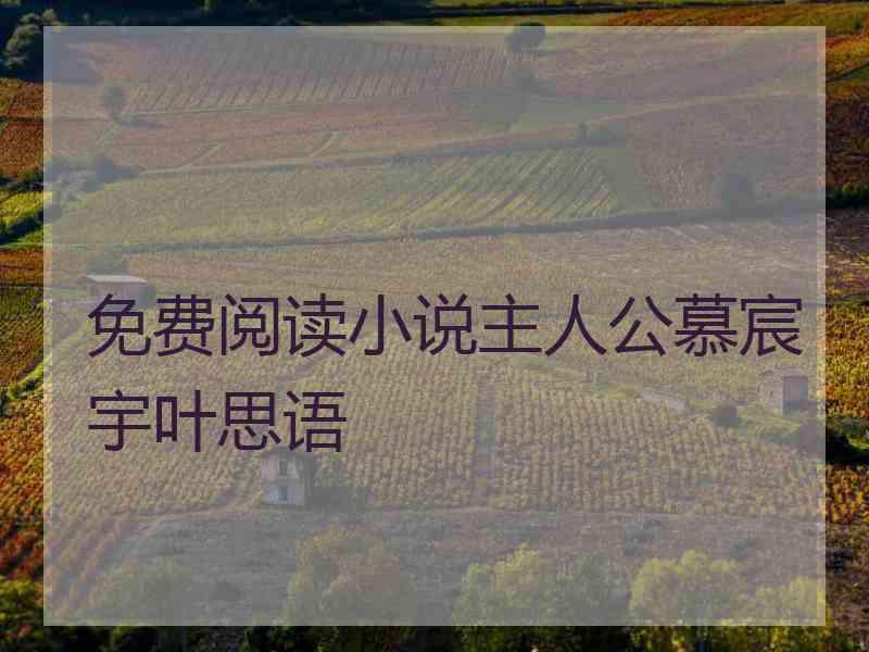 免费阅读小说主人公慕宸宇叶思语