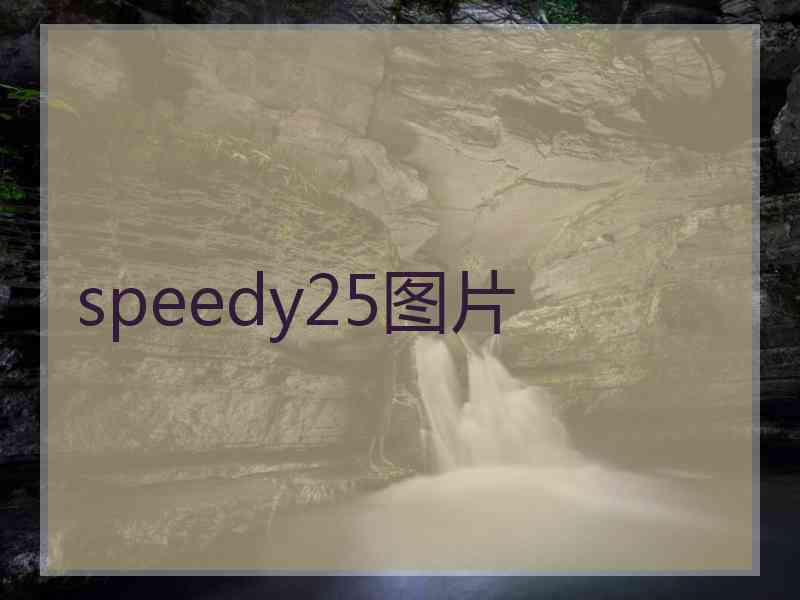 speedy25图片