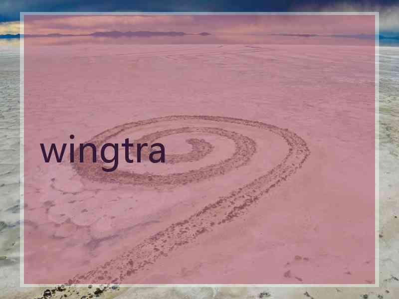 wingtra