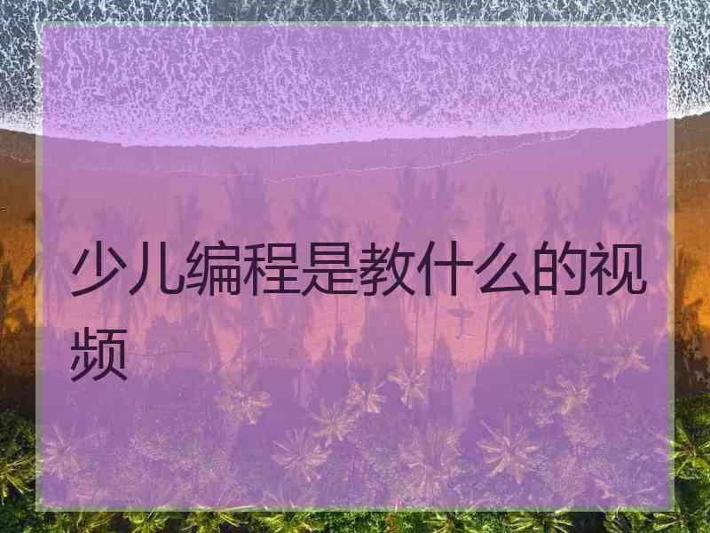 少儿编程是教什么的视频