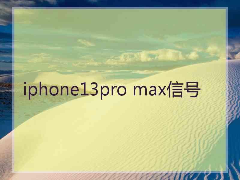 iphone13pro max信号