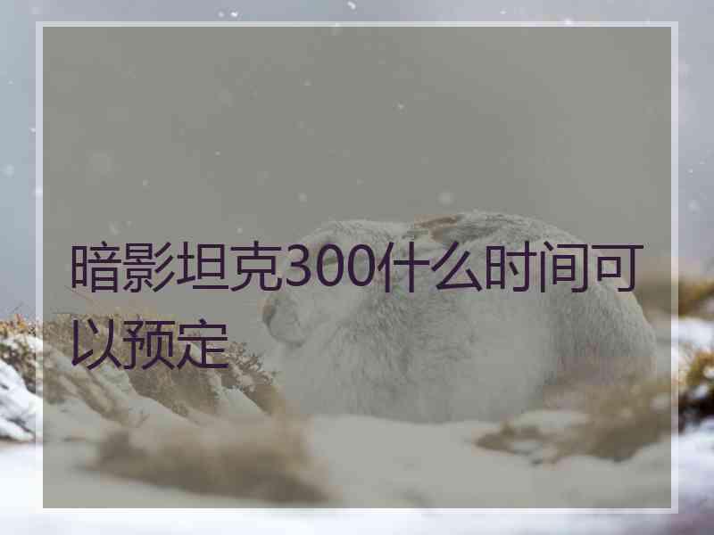 暗影坦克300什么时间可以预定