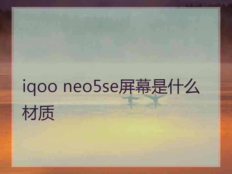 iqoo neo5se屏幕是什么材质