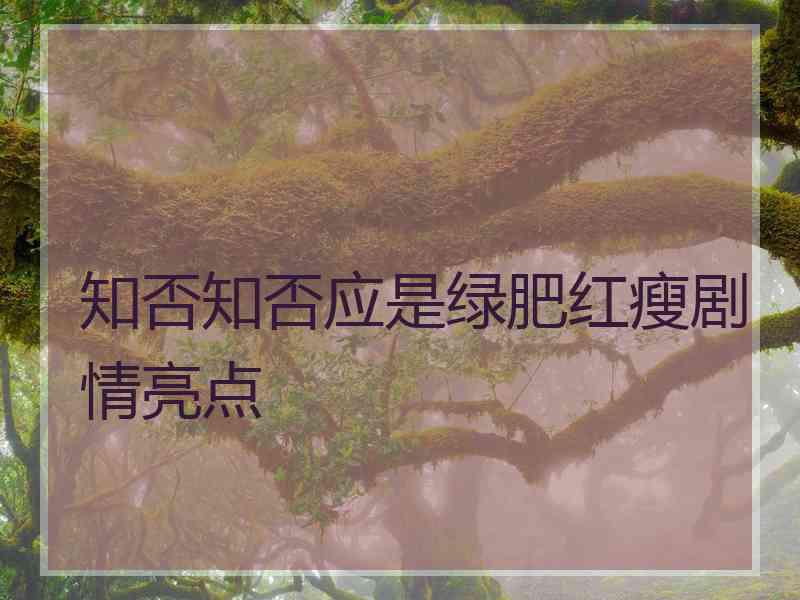 知否知否应是绿肥红瘦剧情亮点