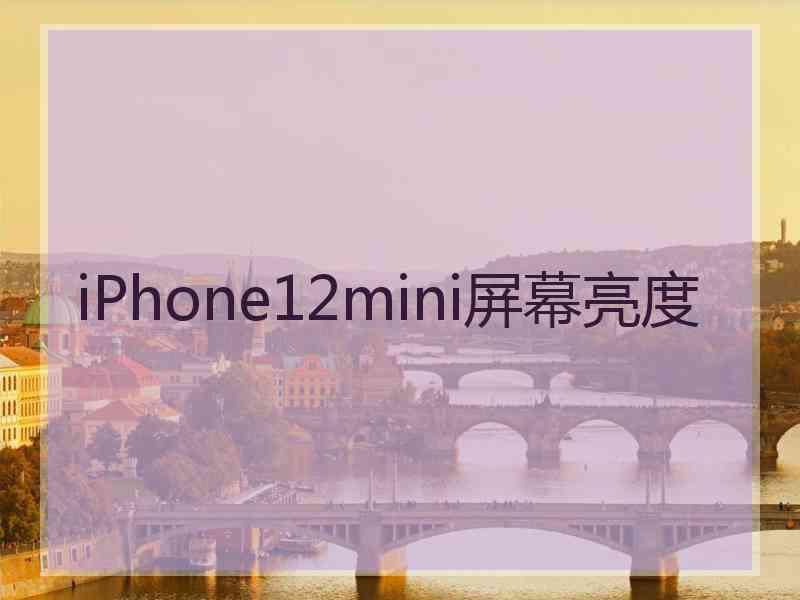 iPhone12mini屏幕亮度