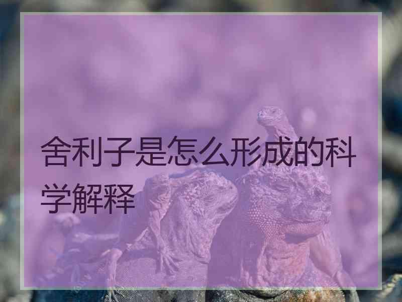 舍利子是怎么形成的科学解释