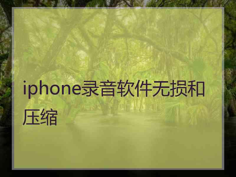 iphone录音软件无损和压缩