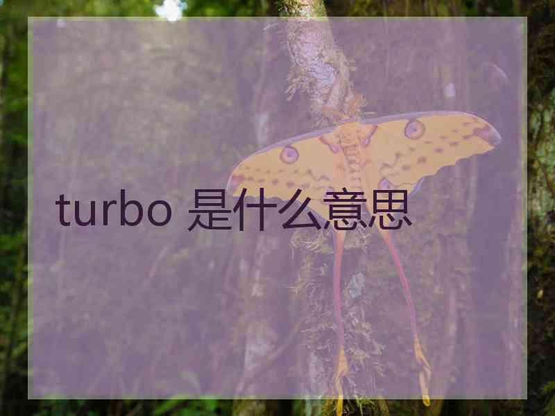 turbo 是什么意思