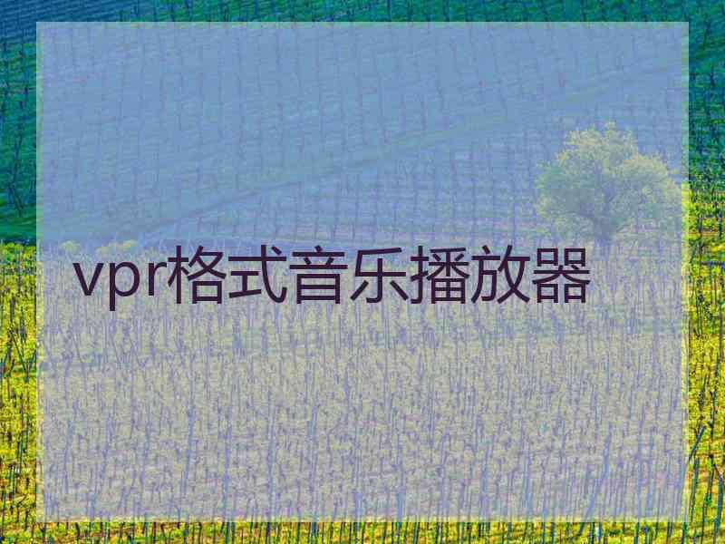 vpr格式音乐播放器