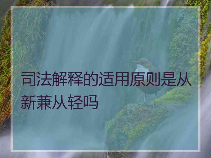 司法解释的适用原则是从新兼从轻吗