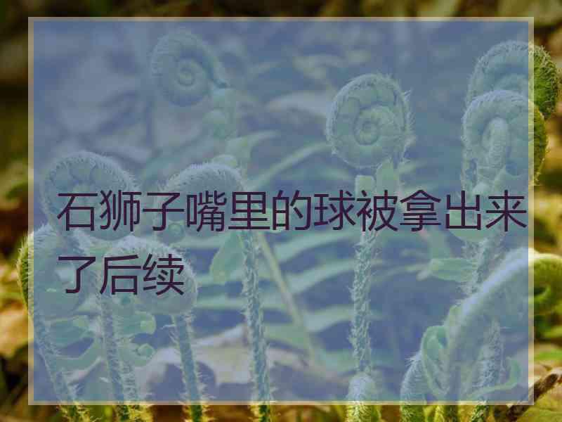 石狮子嘴里的球被拿出来了后续