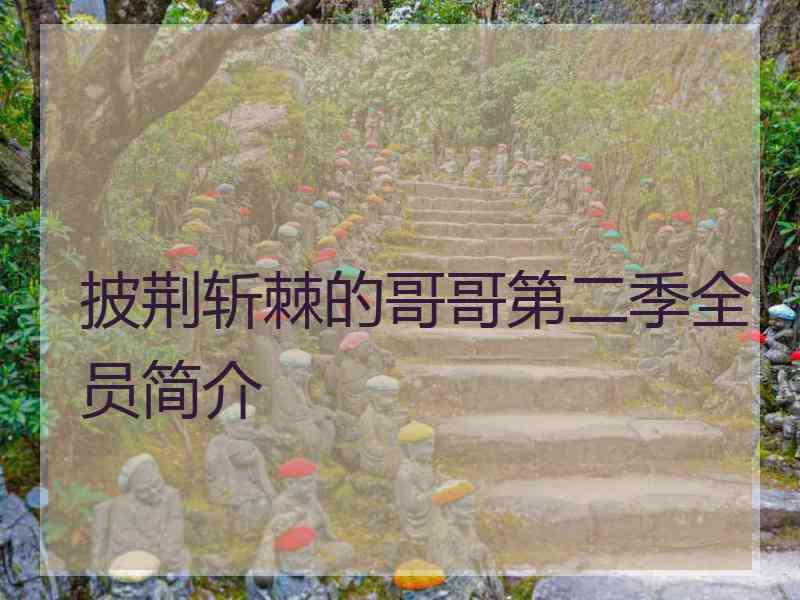 披荆斩棘的哥哥第二季全员简介